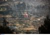Εύβοια: Κρανίου τόπος η άλλοτε καταπράσινη περιοχή στην κεντρική Εύβοια