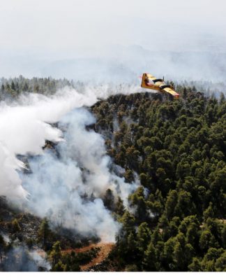 Νεκρός στη Φωτιά στο Κρυονέρι