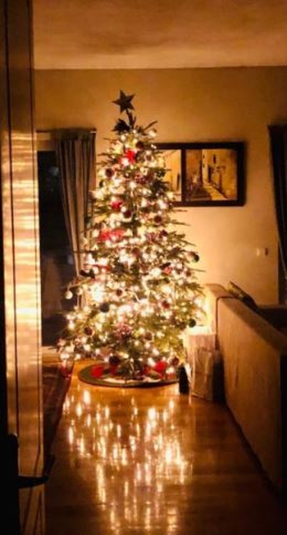 Το εντυπωσιακό χριστουγεννιάτικο δέντρο του Αλέξανδρου Παρθένη και της Βιβής Κωστοπούλου!