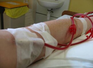 Ανάγκη για αίμα: Η νεαρή Άρτεμις μας χρειάζεται