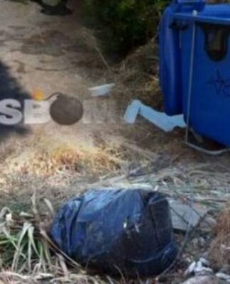 «Η γιαγιά έπεσε κατά λάθος πάνω στο μαχαίρι», υποστηρίζει ο εγγονός