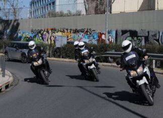 Αυτή είναι η αστυνομικός της ΔΙΑΣ που συνέλαβε τον Ρουπακιά