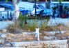 Πρωινός σκυλοκαβγάς για τη Σία Κοσιώνη στην Πειραϊκή