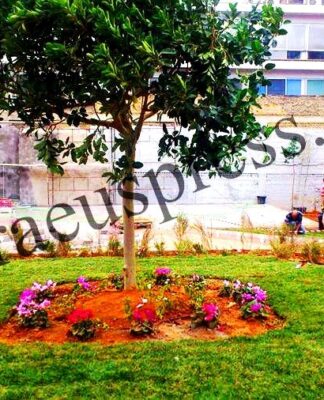 Ακόμα ένα πάρκο-στολίδι παραδίδεται στους Πειραιώτες!