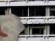 Συνεχίζεται το «γράψε – σβήσε» για τις αποδείξεις!