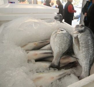 Κατασχέθηκαν ακατάλληλα κατεψυγμένα ψάρια στη Δραπετσώνα