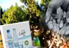 ΣΟΔΑ ΜΑΣΤΙΧΑΣ “ΧΙΩ”: Άρωμα Ελλάδας από τη Νίκαια για ολόκληρη τη χώρα!
