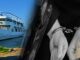 34χρονος είχε “ρημάξει¨ τη Σαλαμίνα – Συνελήφθη για 26 διαρρήξεις (φωτο)