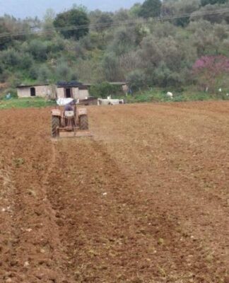 ΑΠΙΣΤΕΥΤΟ: Δείτε τι βρήκε αγρότης από την Ηλεία σκάβοντας το χωράφι του!