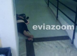 Εύβοια: Θα μείνετε άφωνοι όταν δείτε που τραβήχτηκε η φωτογραφία!
