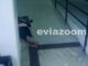 Εύβοια: Θα μείνετε άφωνοι όταν δείτε που τραβήχτηκε η φωτογραφία!