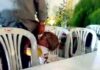 ΒΙΝΤΕΟ: Νήπιο πυροβολεί τον πατέρα του