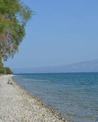 Κάλαμος: Η φωτογραφία του 1960 που κάνει θραύση στα socia media!