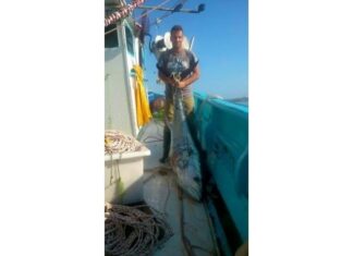 Σύρος: Έπιασε ψάρι 200 κιλών (Φωτο)