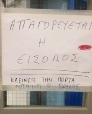 Αδέσποτα σκυλιά “κόβουν” βόλτες μέσα στο Γενικό Νοσοκομείο Νίκαιας (Φωτο)