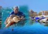 Βρέθηκε θαλάσσια Χελώνα στη Μαρίνα Ζέας