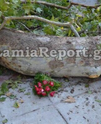 Θρήνος στην κηδεία του 9χρονου Μπάμπη (φωτο + βίντεο)
