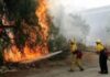 Έκτακτο: Φωτιά στην Ρόδο