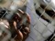Κρήτη: Σε απεργία πείνας 54 μετανάστες-Ανάμεσά τους και 20 παιδιά