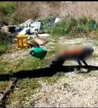 Άρτα: Έκαψαν σκύλο ζωντανό και ανέβασαν το βίντεο στο facebook – Φρίκη από τις σκληρές εικόνες που κάνουν το γύρο του διαδικτύου
