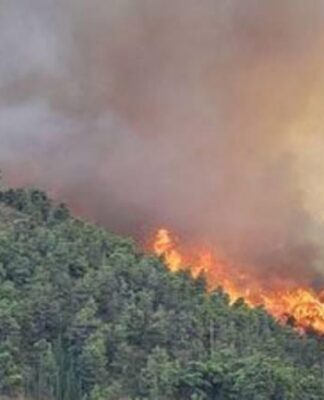 ΣΑΛΑΜΙΝΑ: Πυρκαγιά σε δασική έκταση με έναν τραυματία πυροσβέστη