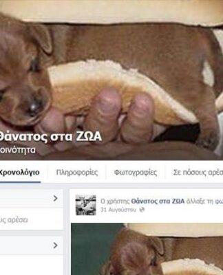 Έρχονται συλλήψεις για τη σελίδα του Facebook “ΘΑΝΑΤΟΣ ΣΤΑ ΖΩΑ”
