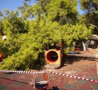 ΠΟΡΟΣ: Κατέρρευσε δέντρο σε παιδική χαρά (Φωτο)