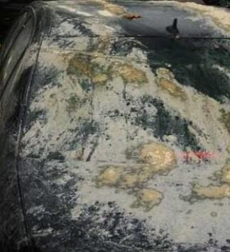 Τρίκαλα: Πέταξαν αυγά, καφέδες και χαλίκια στο αυτοκίνητο πρώην δημάρχου (Φωτο)