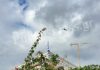Ελικόπτερο της Αστυνομίας πάνω από την Παλιά Κοκκινιά (φωτο)