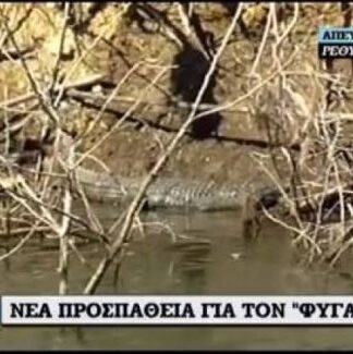 Βρέθηκε ο Σήφης: Δείτε στο βίντεο την επανεμφάνισή του!