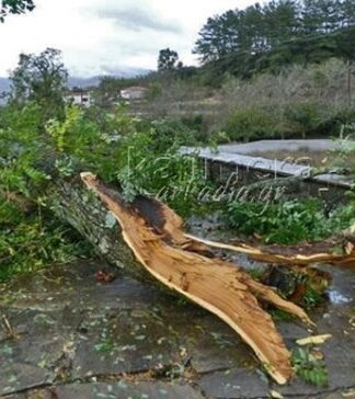 Ανεμοστρόβιλος προκάλεσε μεγάλες καταστροφές στην Αρκαδία (ΒΙΝΤΕΟ)