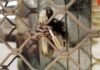 ΠΕΙΡΑΙΑΣ: Κλειστές 1 στις 3 επιχειρήσεις – Αναλυτικά η χαρτογράφηση
