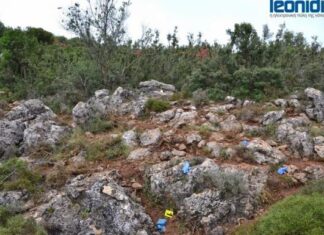 Λεωνίδιο: Έγκλημα πάθους, τη σκότωσε και μετά αυτοκτόνησε