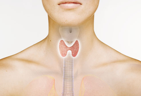 11webmd rf photo of thyroid composite