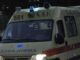 Τρίκαλα: Στο νοσοκομείο οδηγός μετά από σύγκρουση του αυτοκινήτου του με…αγελάδα!
