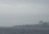 Έλληνας ο νεκρός του Norman Atlantic (Βίντεο)