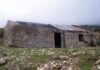 Λαμία: Μπήκαν μέσα στην στάνη και έπαθαν σοκ με αυτό που αντίκρισαν!
