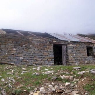 Λαμία: Μπήκαν μέσα στην στάνη και έπαθαν σοκ με αυτό που αντίκρισαν!
