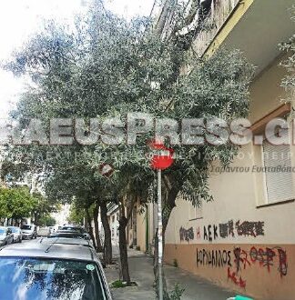 To απαγορευτικό του θανάτου στον Κορυδαλλό (Βίντεο + Φωτο)