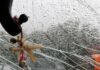 ΣΟΚ: Την πυροβόλησε στο κεφάλι επειδή… του κόρναρε!