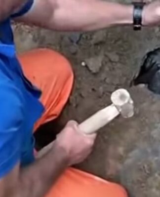 Άκουγε κλάματα κάτω από τα χώματα και ξεκίνησε να σκάβει – Στο τέλος δε μπορούσε να μιλήσει από το σοκ