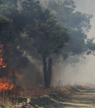 ΤΩΡΑ: Μεγάλη πυρκαγιά στον Πύργο!