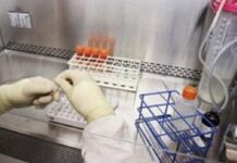 Ισχυρό αντικαρκινικό φάρμακο δημιουργούν στο Πανεπιστήμιο Πατρών
