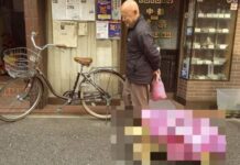 Αυτό είναι το πιο πρωτότυπο κατοικίδιο του κόσμου