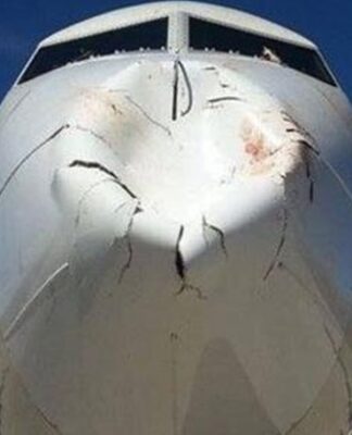 Δείτε την απίστευτη ζημιά που έκανε σε Boeing η σύγκρουση με πτηνό κατά την προσγείωση