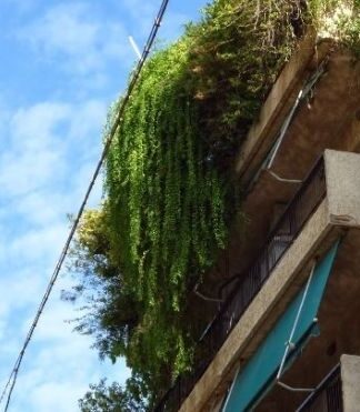 Αργυρούπολη: Δε φαντάζεστε τι είδε στο σαλόνι του όταν ξύπνησε! (φωτο)
