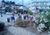 ΠΟΡΟΣ: Δενδροφύτευση στην παραλία του Γαλατά (Φωτο)