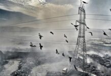 Μακρύς ο κατάλογος των παραβάσεων στη μονάδα ανακύκλωσης του Ασπρόπυργου