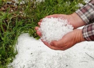 ΑΙΓΙΝΑ: Έντονη ζαλαζόπτωση έπληξε το νησί – Καταστράφηκαν καλλιέργειες!