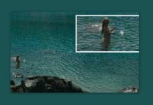 Εθεάθη γοργόνα στο Περού – Το video που κάνει το γύρο των social media!